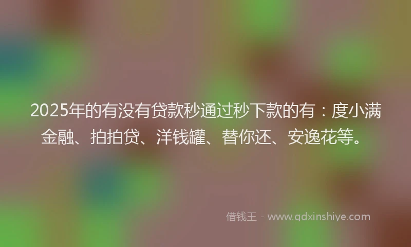 2025年的有没有贷款秒通过秒下款的有：度小满金融、拍拍贷、洋钱罐、替你还、安逸花等。