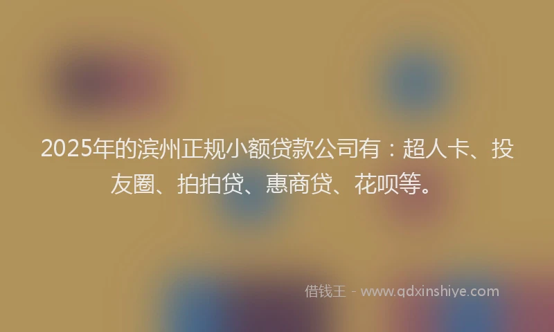2025年的滨州正规小额贷款公司有：超人卡、投友圈、拍拍贷、惠商贷、花呗等。