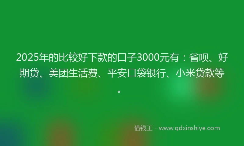 2025年的比较好下款的口子3000元有：省呗、好期贷、美团生活费、平安口袋银行、小米贷款等。