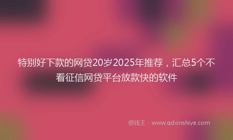 特别好下款的网贷20岁2025年推荐，汇总5个不看征信网贷平台放款快的软件