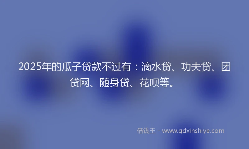 2025年的瓜子贷款不过有：滴水贷、功夫贷、团贷网、随身贷、花呗等。