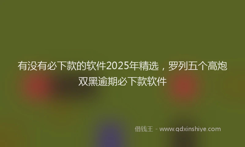 有没有必下款的软件2025年精选，罗列五个高炮双黑逾期必下款软件