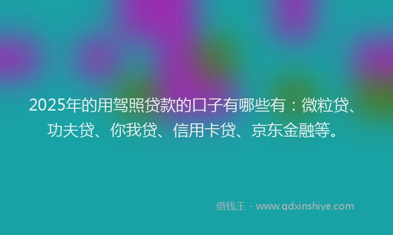 2025年的用驾照贷款的口子有哪些有：微粒贷、功夫贷、你我贷、信用卡贷、京东金融等。