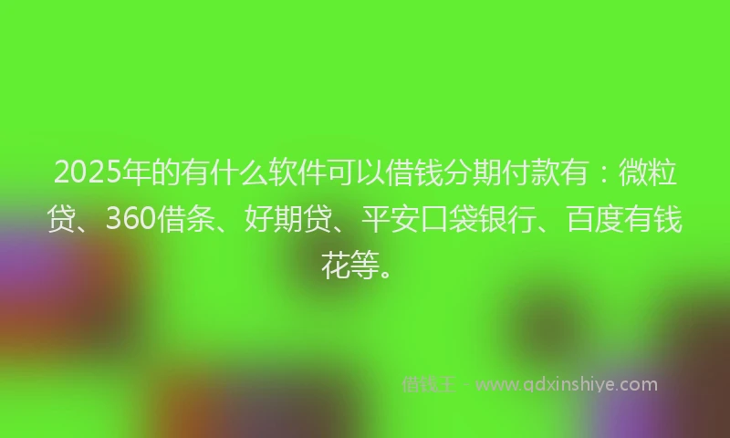 2025年的有什么软件可以借钱分期付款有：微粒贷、360借条、好期贷、平安口袋银行、百度有钱花等。