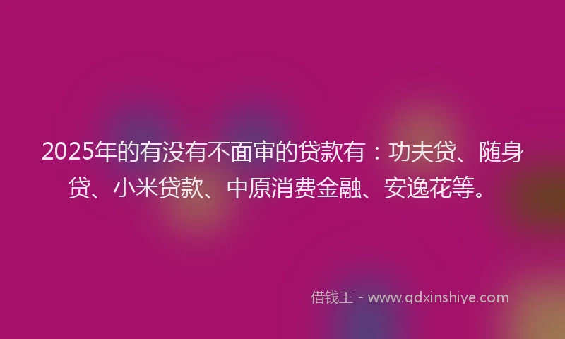 2025年的有没有不面审的贷款有：功夫贷、随身贷、小米贷款、中原消费金融、安逸花等。