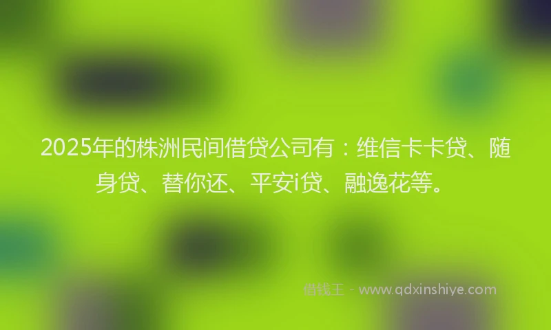2025年的株洲民间借贷公司有：维信卡卡贷、随身贷、替你还、平安i贷、融逸花等。