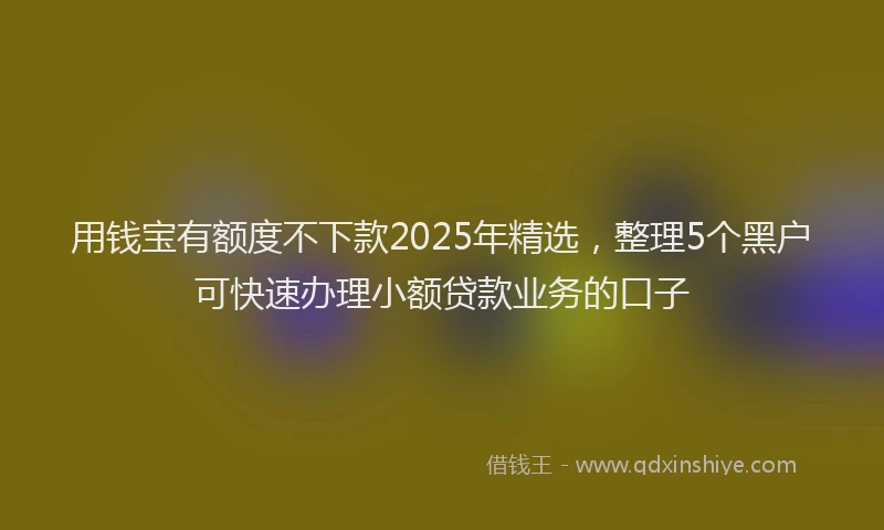 用钱宝有额度不下款2025年精选，整理5个黑户可快速办理小额贷款业务的口子