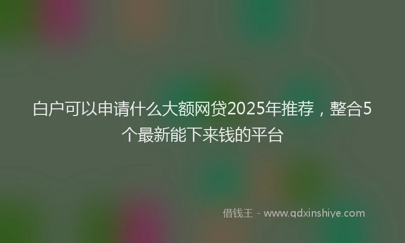 白户可以申请什么大额网贷2025年推荐，整合5个最新能下来钱的平台