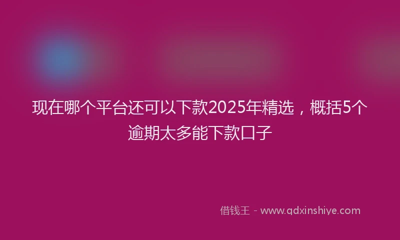 现在哪个平台还可以下款2025年精选，概括5个逾期太多能下款口子