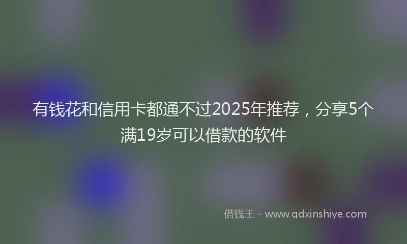 有钱花和信用卡都通不过2025年推荐，分享5个满19岁可以借款的软件