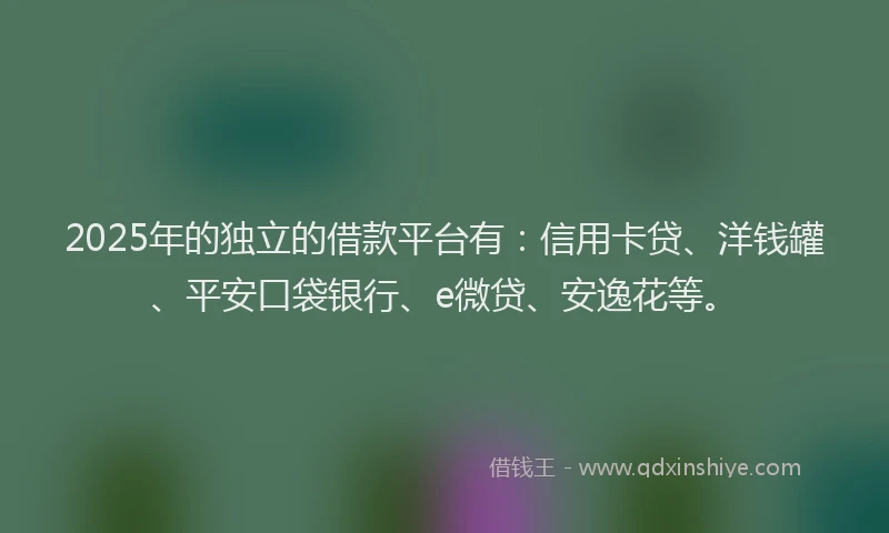 2025年的独立的借款平台有：信用卡贷、洋钱罐、平安口袋银行、e微贷、安逸花等。