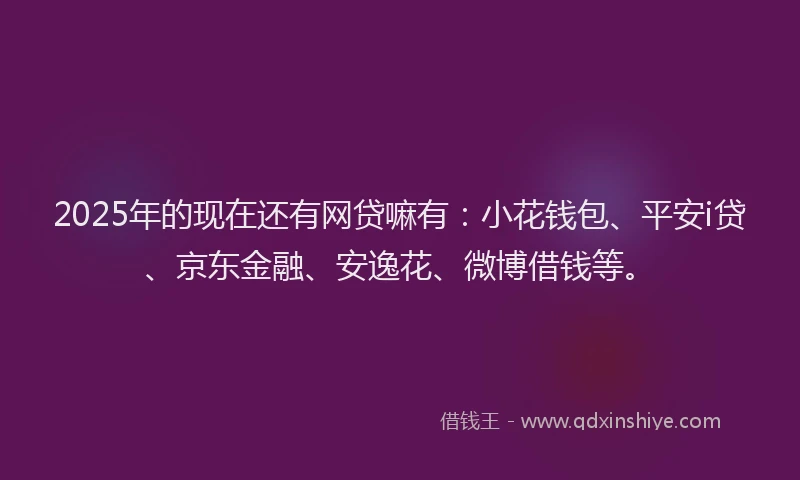 2025年的现在还有网贷嘛有：小花钱包、平安i贷、京东金融、安逸花、微博借钱等。
