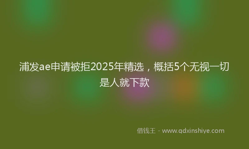 浦发ae申请被拒2025年精选，概括5个无视一切是人就下款