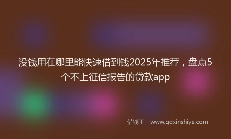 没钱用在哪里能快速借到钱2025年推荐，盘点5个不上征信报告的贷款app