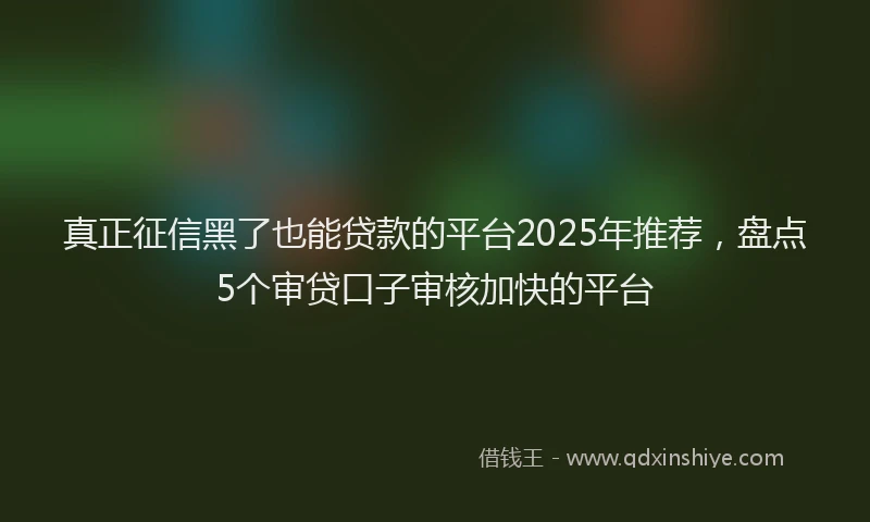 真正征信黑了也能贷款的平台2025年推荐，盘点5个审贷口子审核加快的平台