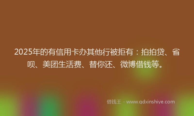 2025年的有信用卡办其他行被拒有：拍拍贷、省呗、美团生活费、替你还、微博借钱等。