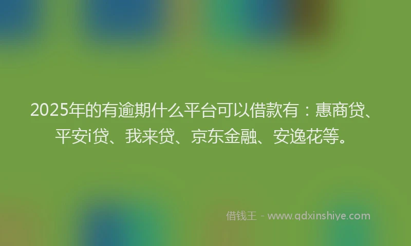 2025年的有逾期什么平台可以借款有：惠商贷、平安i贷、我来贷、京东金融、安逸花等。
