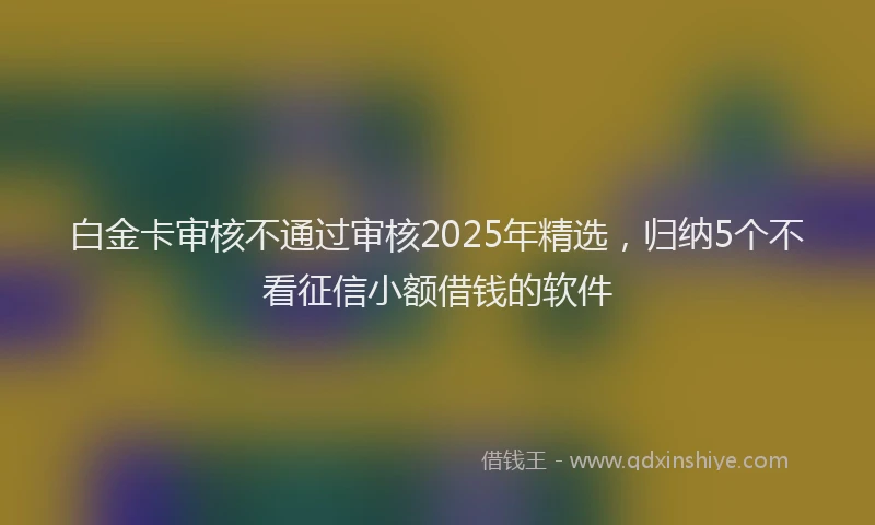 白金卡审核不通过审核2025年精选，归纳5个不看征信小额借钱的软件