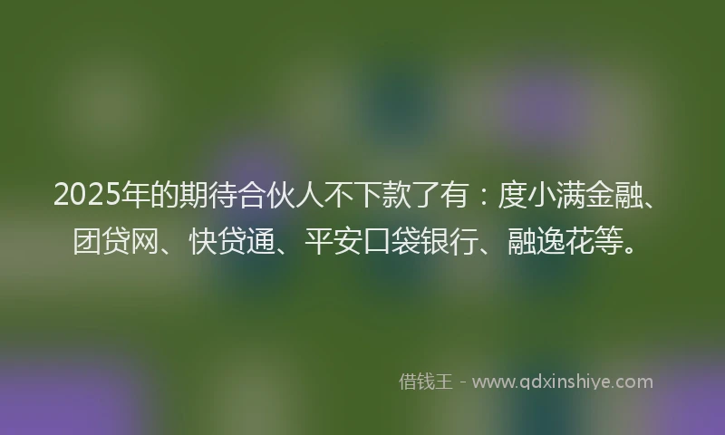 2025年的期待合伙人不下款了有：度小满金融、团贷网、快贷通、平安口袋银行、融逸花等。