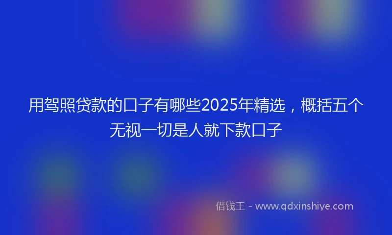 用驾照贷款的口子有哪些2025年精选，概括五个无视一切是人就下款口子