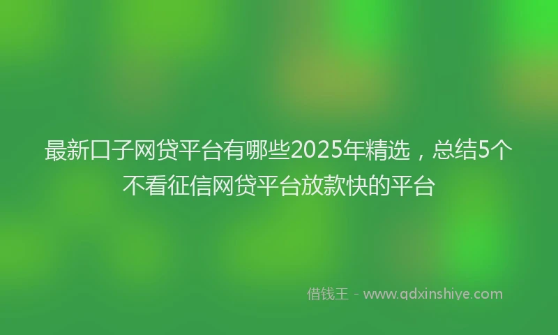 最新口子网贷平台有哪些2025年精选，总结5个不看征信网贷平台放款快的平台