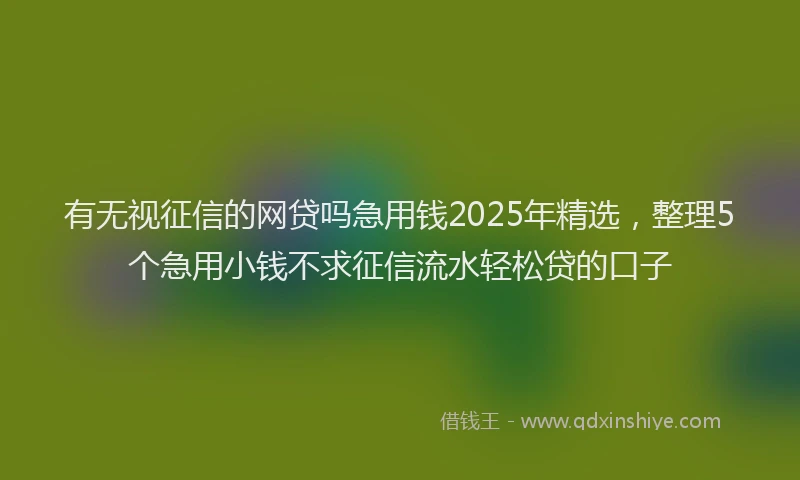 有无视征信的网贷吗急用钱2025年精选，整理5个急用小钱不求征信流水轻松贷的口子