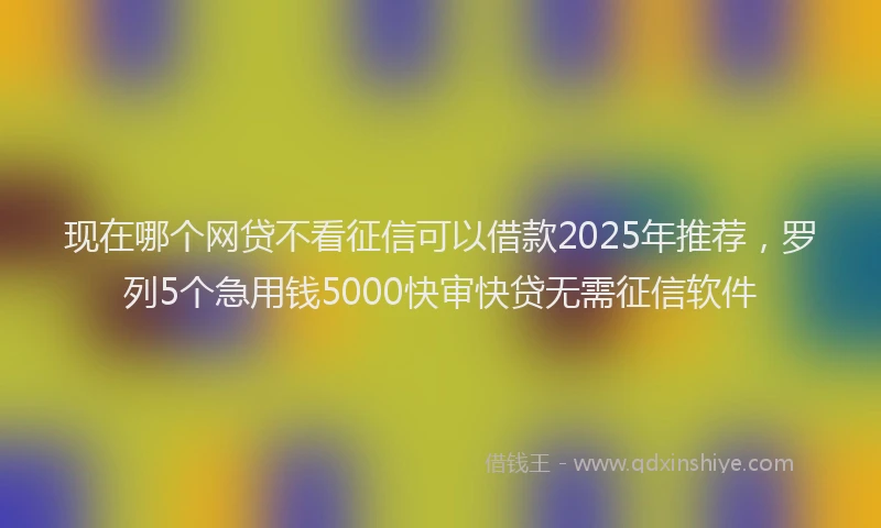现在哪个网贷不看征信可以借款2025年推荐，罗列5个急用钱5000快审快贷无需征信软件