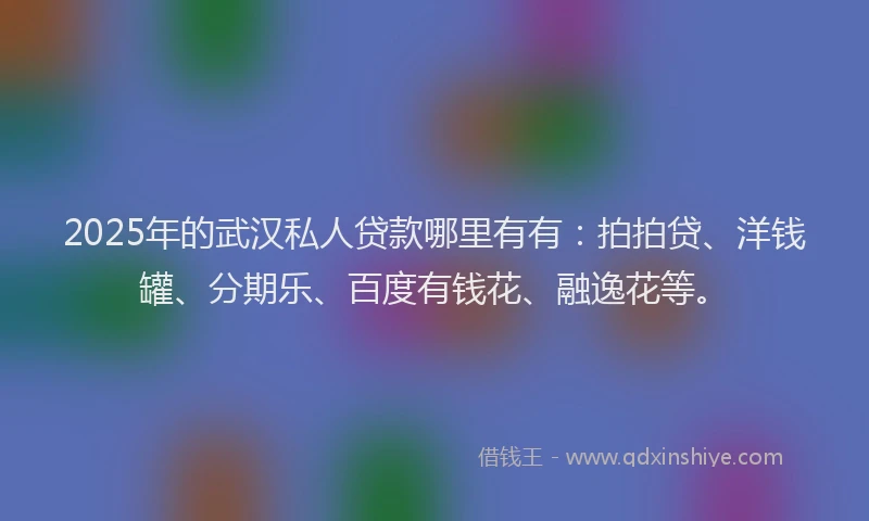 2025年的武汉私人贷款哪里有有：拍拍贷、洋钱罐、分期乐、百度有钱花、融逸花等。