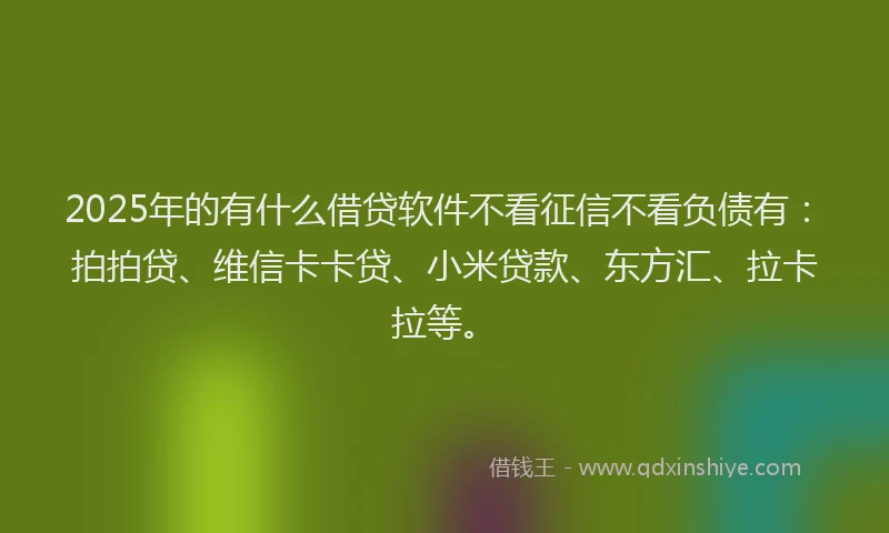 2025年的有什么借贷软件不看征信不看负债有：拍拍贷、维信卡卡贷、小米贷款、东方汇、拉卡拉等。