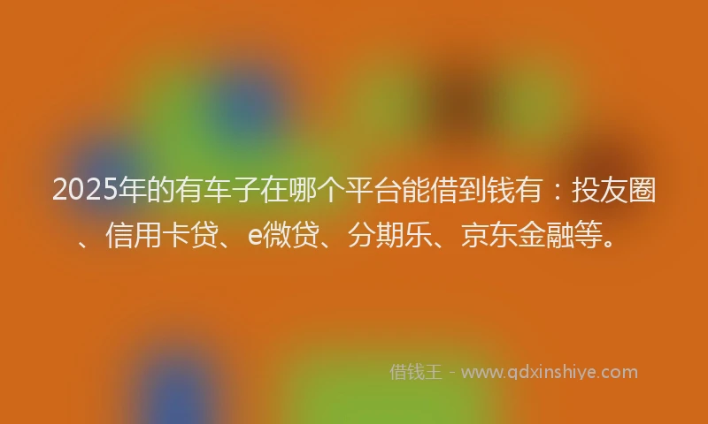2025年的有车子在哪个平台能借到钱有：投友圈、信用卡贷、e微贷、分期乐、京东金融等。