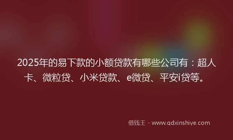 2025年的易下款的小额贷款有哪些公司有：超人卡、微粒贷、小米贷款、e微贷、平安i贷等。