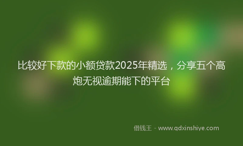 比较好下款的小额贷款2025年精选，分享五个高炮无视逾期能下的平台