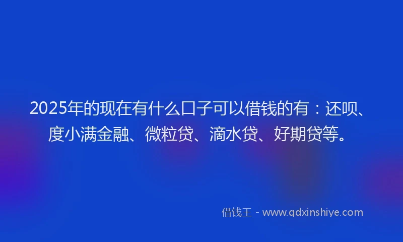 2025年的现在有什么口子可以借钱的有：还呗、度小满金融、微粒贷、滴水贷、好期贷等。