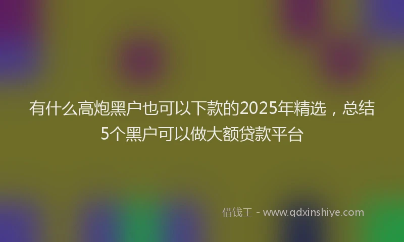 有什么高炮黑户也可以下款的2025年精选，总结5个黑户可以做大额贷款平台