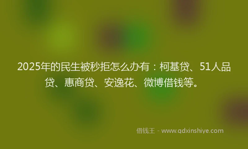 2025年的民生被秒拒怎么办有：柯基贷、51人品贷、惠商贷、安逸花、微博借钱等。