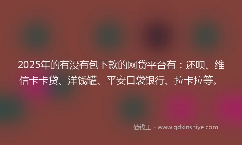 2025年的有没有包下款的网贷平台有：还呗、维信卡卡贷、洋钱罐、平安口袋银行、拉卡拉等。