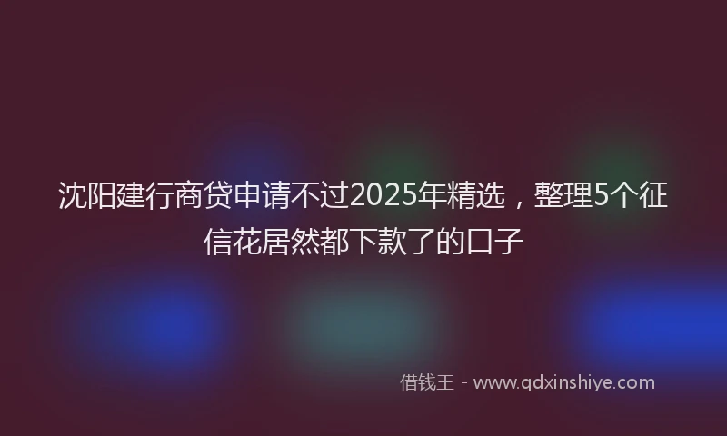 沈阳建行商贷申请不过2025年精选，整理5个征信花居然都下款了的口子