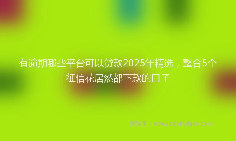 有逾期哪些平台可以贷款2025年精选，整合5个征信花居然都下款的口子