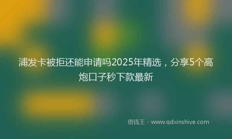 浦发卡被拒还能申请吗2025年精选，分享5个高炮口子秒下款最新