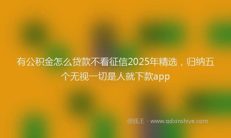 有公积金怎么贷款不看征信2025年精选，归纳五个无视一切是人就下款app