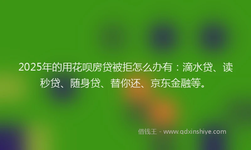 2025年的用花呗房贷被拒怎么办有：滴水贷、读秒贷、随身贷、替你还、京东金融等。