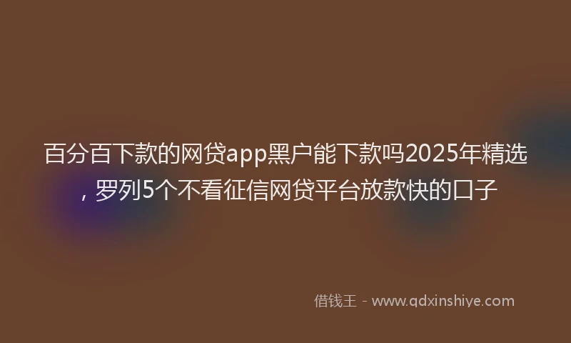 百分百下款的网贷app黑户能下款吗2025年精选，罗列5个不看征信网贷平台放款快的口子