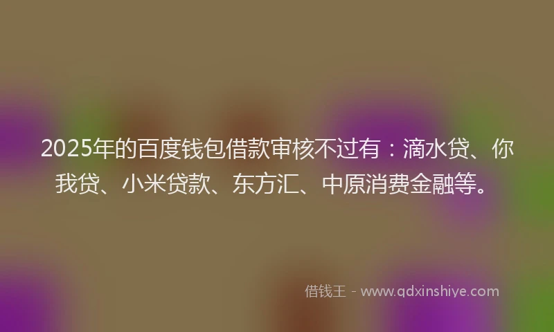 2025年的百度钱包借款审核不过有：滴水贷、你我贷、小米贷款、东方汇、中原消费金融等。