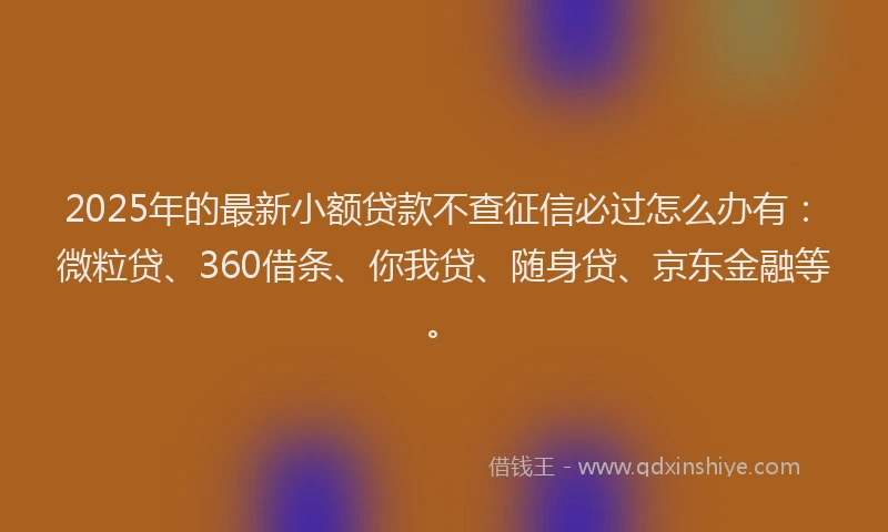 2025年的最新小额贷款不查征信必过怎么办有：微粒贷、360借条、你我贷、随身贷、京东金融等。