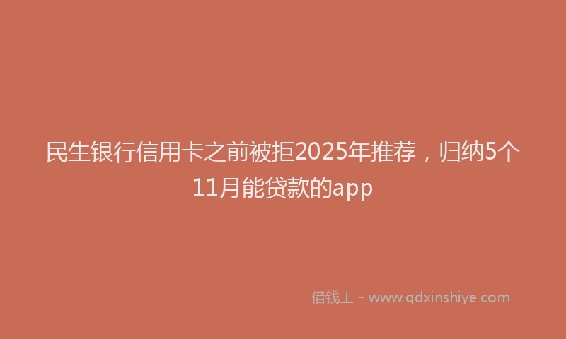 民生银行信用卡之前被拒2025年推荐，归纳5个11月能贷款的app