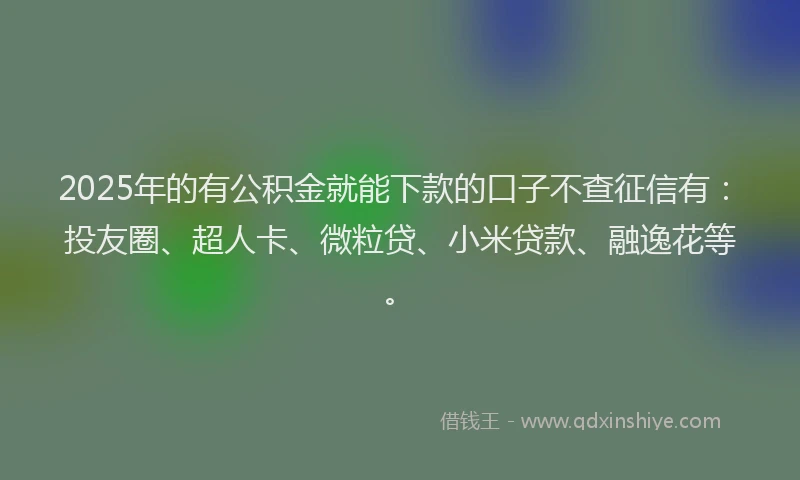 2025年的有公积金就能下款的口子不查征信有：投友圈、超人卡、微粒贷、小米贷款、融逸花等。