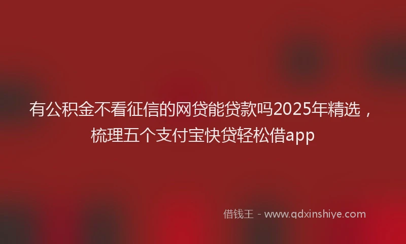 有公积金不看征信的网贷能贷款吗2025年精选，梳理五个支付宝快贷轻松借app