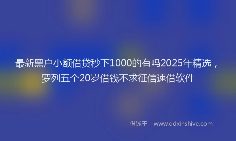 最新黑户小额借贷秒下1000的有吗2025年精选，罗列五个20岁借钱不求征信速借软件