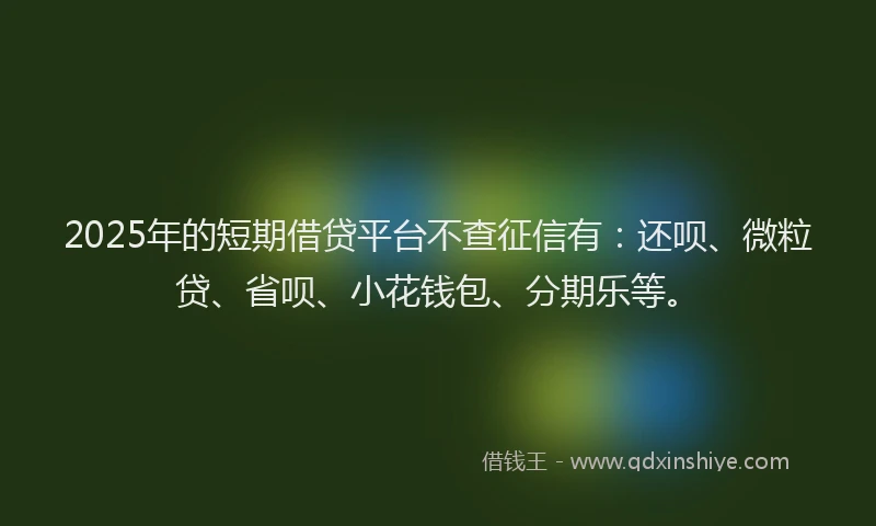 2025年的短期借贷平台不查征信有：还呗、微粒贷、省呗、小花钱包、分期乐等。