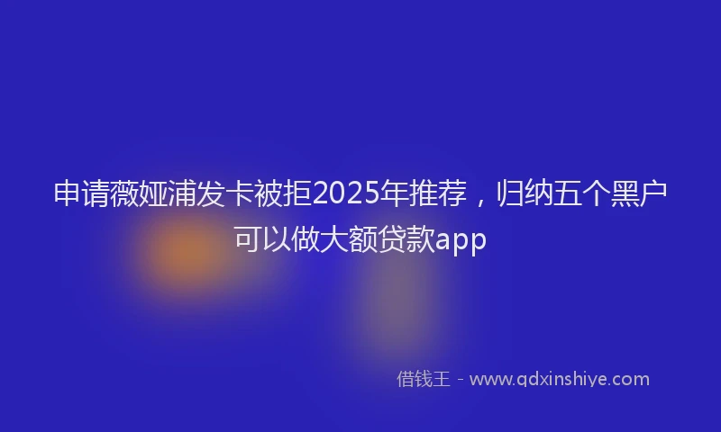 申请薇娅浦发卡被拒2025年推荐，归纳五个黑户可以做大额贷款app